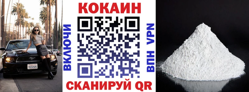 Cocaine FishScale  где купить наркоту  Сясьстрой 
