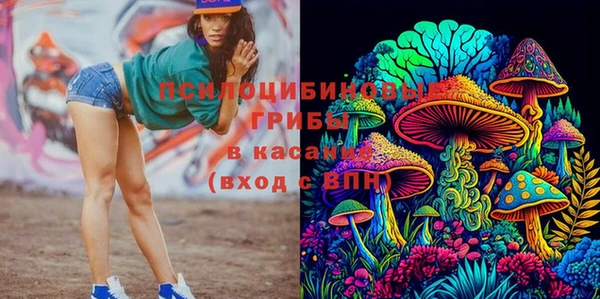 бошки Абдулино