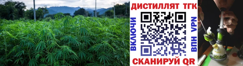 Дистиллят ТГК THC oil  сколько стоит  Сясьстрой 