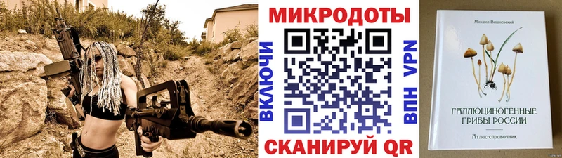 купить  цена  Сясьстрой  Галлюциногенные грибы мицелий 